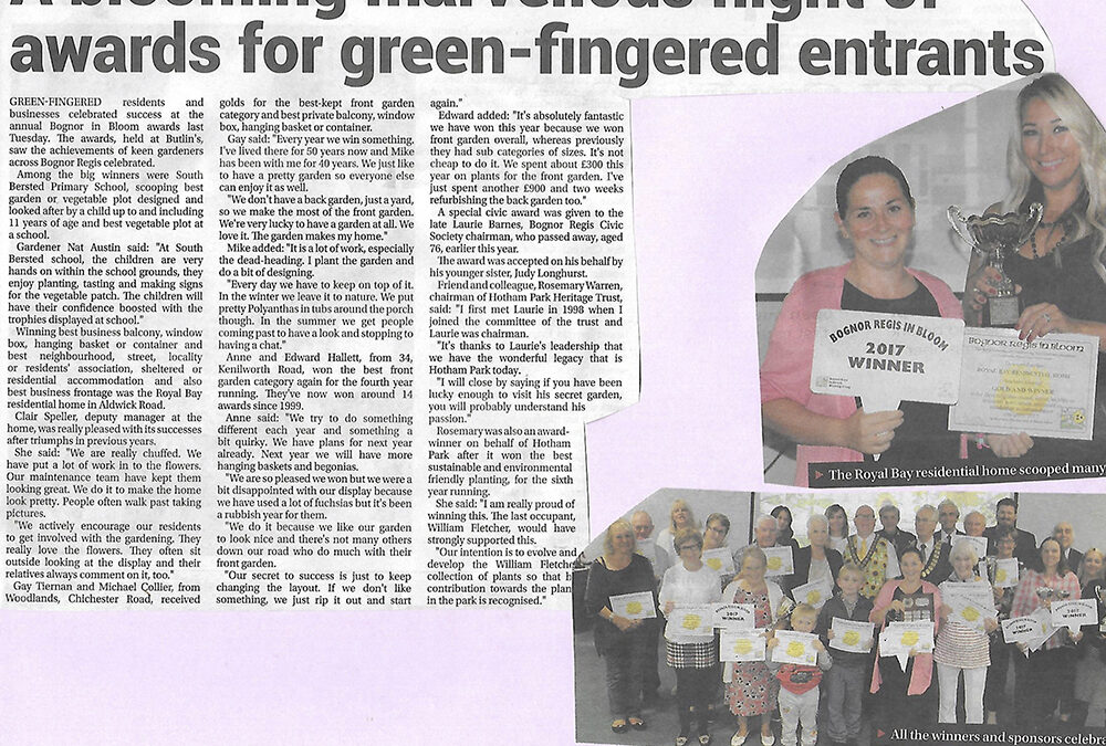 Royal Bay Residential Home wins Gold again in Bognor In Bloom.