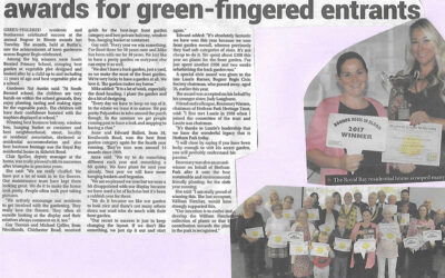 Royal Bay Residential Home wins Gold again in Bognor In Bloom.