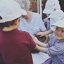 Claremont Lodge Care Home Bunny